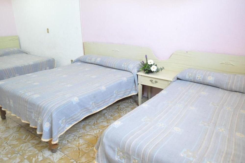 Hotel Viena Ирапуато Екстериор снимка