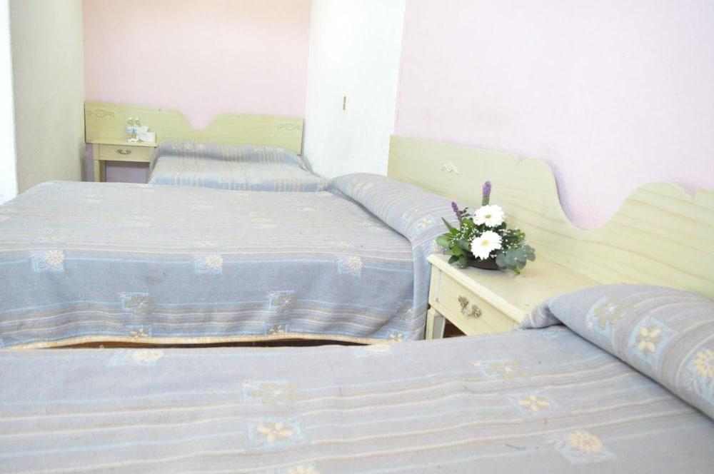Hotel Viena Ирапуато Екстериор снимка